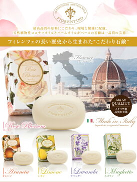 石けん ボディソープ フィレンツェの長い歴史から生まれたこだわり石鹸 SAF イタリア製 単品150g ココナツオイル バームオイル 約80% スキンケア 顔 全身 敏感肌 乾燥肌