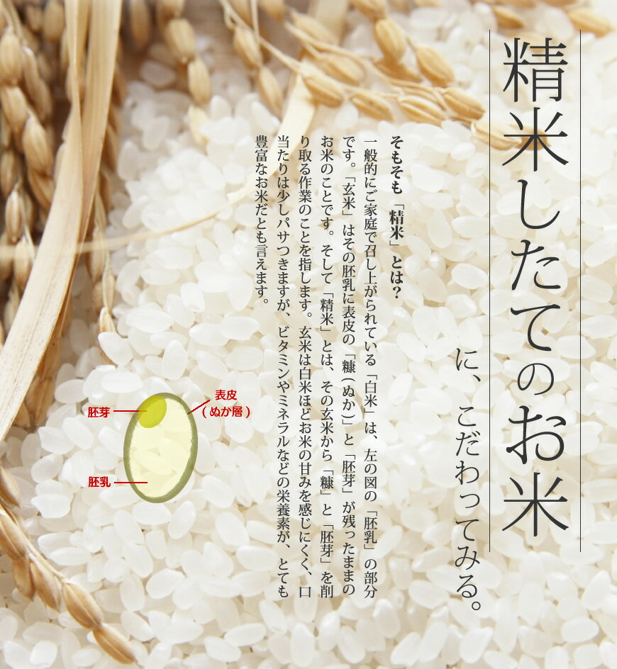 29年産福岡県産 たごもり農園の特別栽培米 ひのひかり5kg【定期購入も可】 「新鮮！玄米 白米 分つき米」[k]