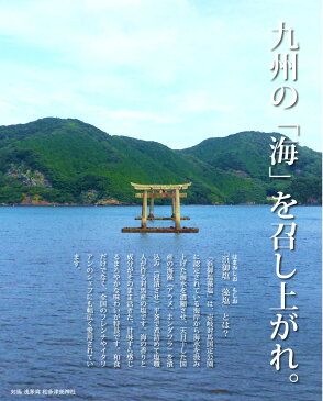 九州の塩 浜御塩 藻塩　お試し10パック（1g×10パック入り）【送料無料】 究極の大人のふりかけ （お塩 しお 塩調味料 天然塩 もしお もじお）