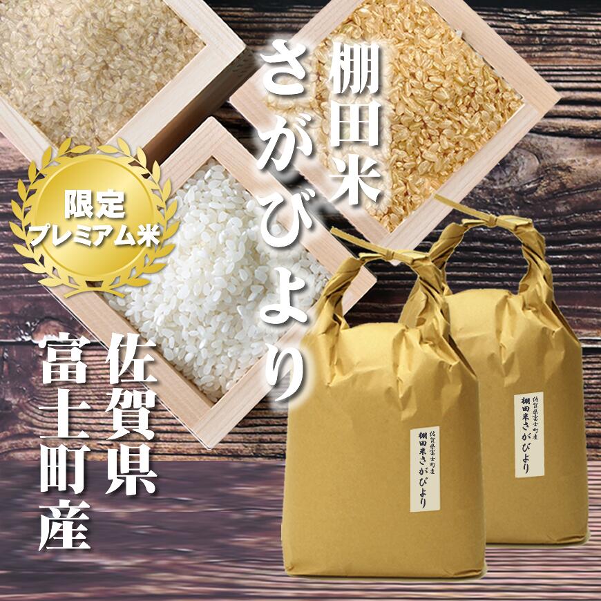 米 令和5年産 棚田米 さがびより 10kg[5kg×2][一等米/特A米]佐賀県富士町産 玄米、胚芽米、分づき米、白米。分つき米は健康米。特Aの1等米 サガビヨリ10キロ（5キロ毎に分づき承ります）出荷日精米 【送料無料（一部地域を除く）】 お祝い 父の日 プレゼント ギフト