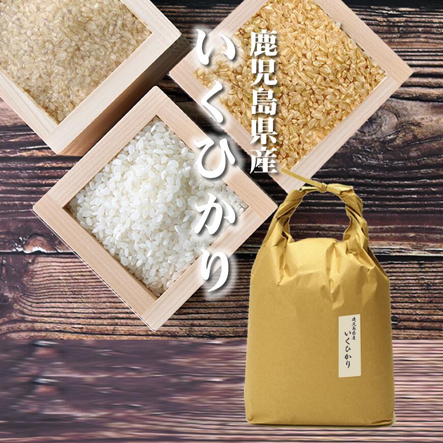 米 いくひかり[おにぎり、お弁当に最適！][コシヒカリの孫]鹿児島県産 5kg[5kg×1][令和5年産] 玄米、胚芽米、分づき米、白米。分つき米は健康米。イクヒカリ5キロ（5キロ毎に分づき承ります）出荷日精米 【送料無料（一部地域を除く）】 お祝い 父の日 プレゼント ギフト