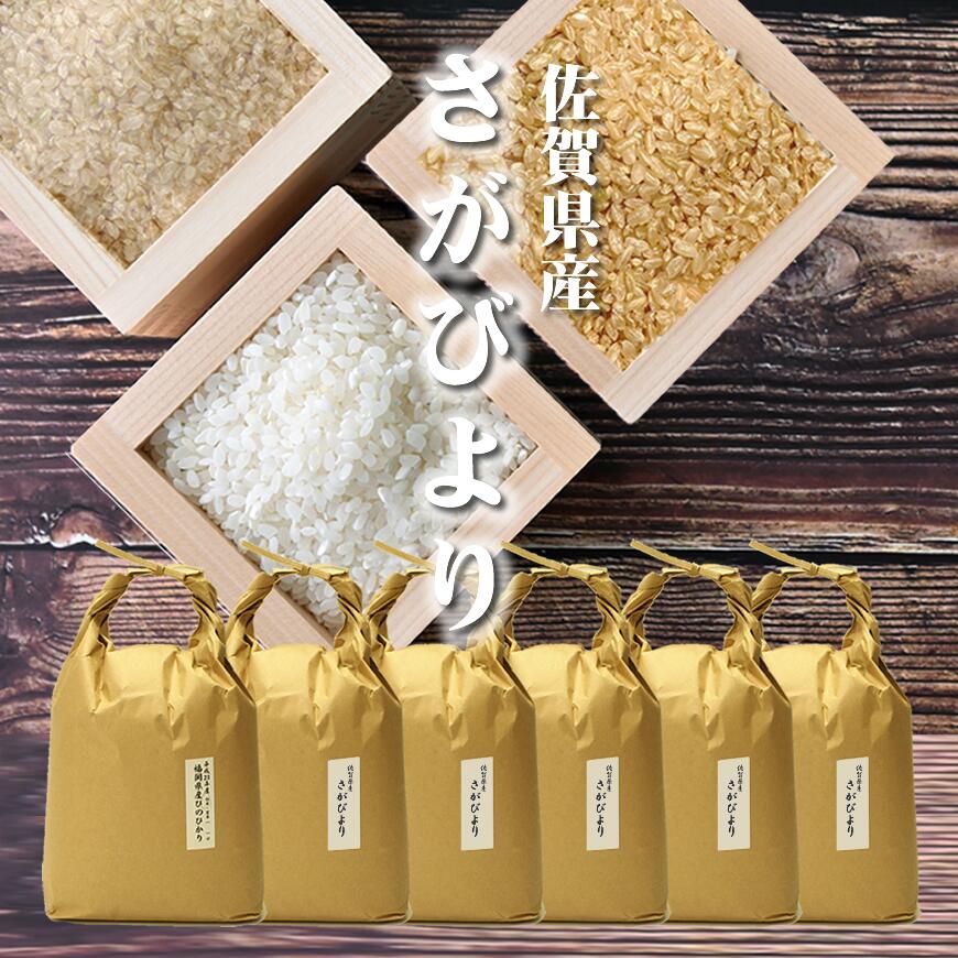九州のお米 さがびよ