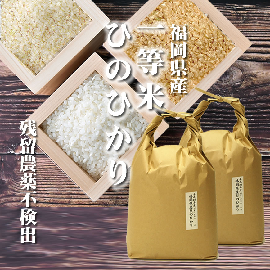 米 ひのひかり 令和5年産[一等米][特A米][残留農薬不検出米] 福岡県産 10kg[5kg 2]玄米 分づき米 胚芽米 白米まで 健康米 ヒノヒカリ10キロ 5キロ毎に分づき承ります 出荷日精米 【送料無料 一…