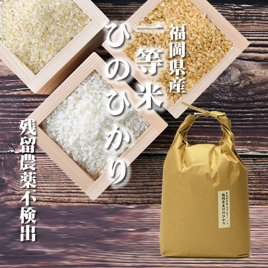 米 令和5年産 米 ひのひかり 一等米 特A米 残留農薬不検出米 福岡県産 5kg 5kg×1 玄米 胚芽米 分づき米 白米まで。分つき米は健康米。高級な特Aの1等米 ヒノヒカリ5キロ 出荷日精米 お米のギフトにも【送料無料（一部地域を除く）】 お祝い ギフト