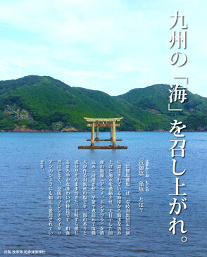 長崎県対馬 浜御塩(はまみしお) 藻塩(もしお) 1g×10パック お取り寄せグルメ 海藻エキス 天然塩 海水 国内産 平釜塩 お塩 健康長寿 テレビで紹介