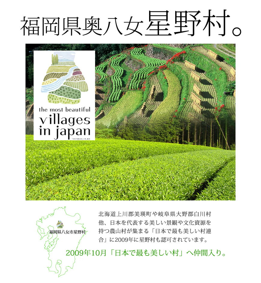 2020年産 奥八女星野村 深蒸し高級煎茶 八女茶セット(100g×2袋) 高木茶園謹製 贈り物 ■減農薬 減化学肥料のお茶 [特別栽培茶] バレンタイン ギフト格安通販　バレンタイン　人気　ランキング