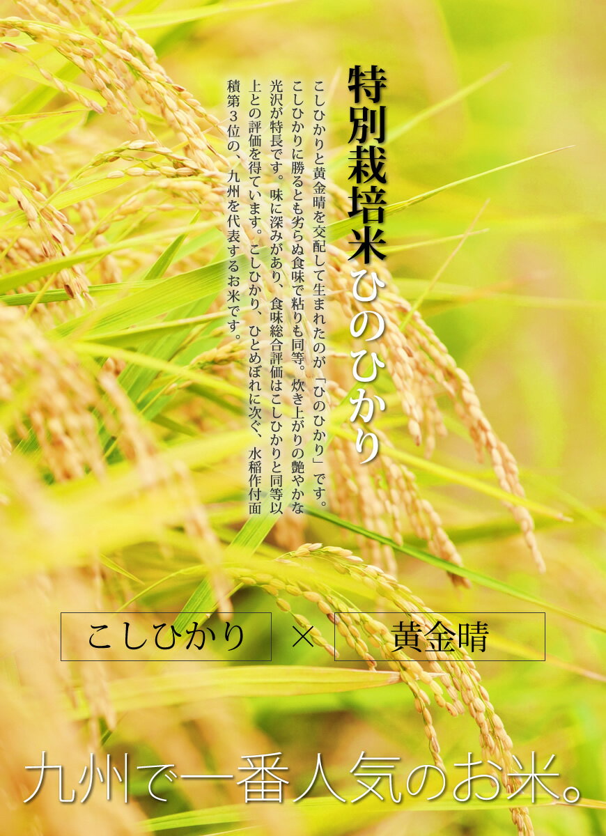 新米 令和2年産 福岡県産 たごもり農園の特別栽培米 ひのひかり 10kg[5kg×2] / お取り寄せグルメ 出荷日精米 玄米から分つき米 白米まで バレンタインギフト食べ物 バレンタイン ギフト格安通販　バレンタイン　人気　ランキング