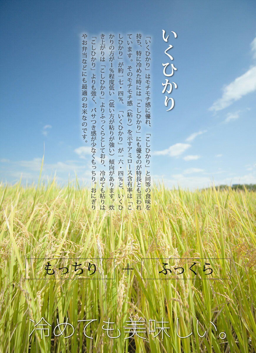 【新米 令和2年産】鹿児島県産 イクヒカリ 10kg(5kg×2) お取り寄せグルメ 玄米から白米 分つき米 九州 米 [k] バレンタイン ギフト格安通販　バレンタイン　人気　ランキング