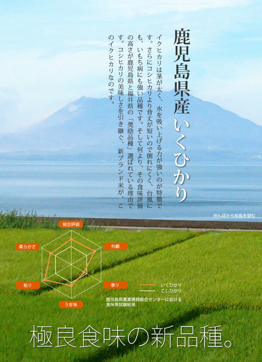 【新米 令和2年産】鹿児島県産 イクヒカリ 10kg(5kg×2) お取り寄せグルメ 玄米から白米 分つき米 九州 米 [k] バレンタイン ギフト格安通販　バレンタイン　人気　ランキング