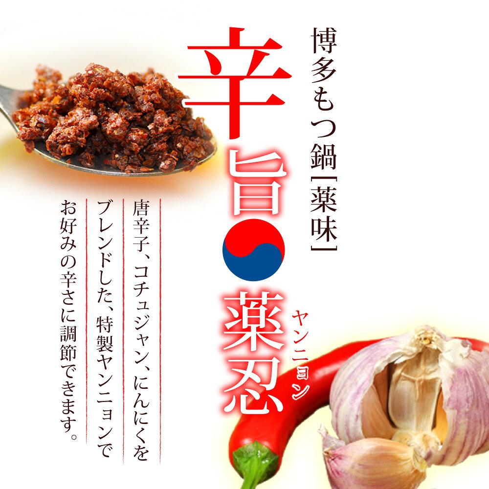 お中元 ギフト もつ鍋 博多辛旨もつ鍋セット 辛旨醤油仕立て [2人前〜3人前] 旨辛な韓流モツ鍋 国産牛もつ100％ 下処理不要で 本場 福岡の モツ鍋 専門店の味。国産小麦のちゃんぽん麺付き enya1-10001196 お米・もつ鍋 おどろきっちん 九州 サンプル画像3