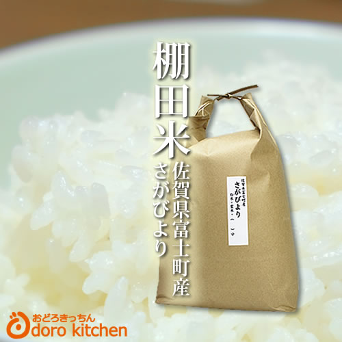 【新米 令和2年産】米 5kg【特A極上棚田米】山麓清流米さがびより 佐賀県富士町の棚田米 5kg お取り寄せグルメ 玄米から白米まで分づき精米 九州 米/佐賀県 バレンタイン ギフト格安通販　バレンタイン　人気　ランキング