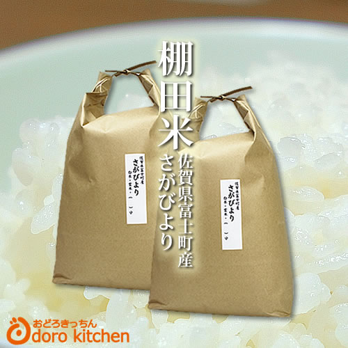 【スーパーSALE10%OFF】【令和元年産】棚田米 さがびより 10kg（5kg×...