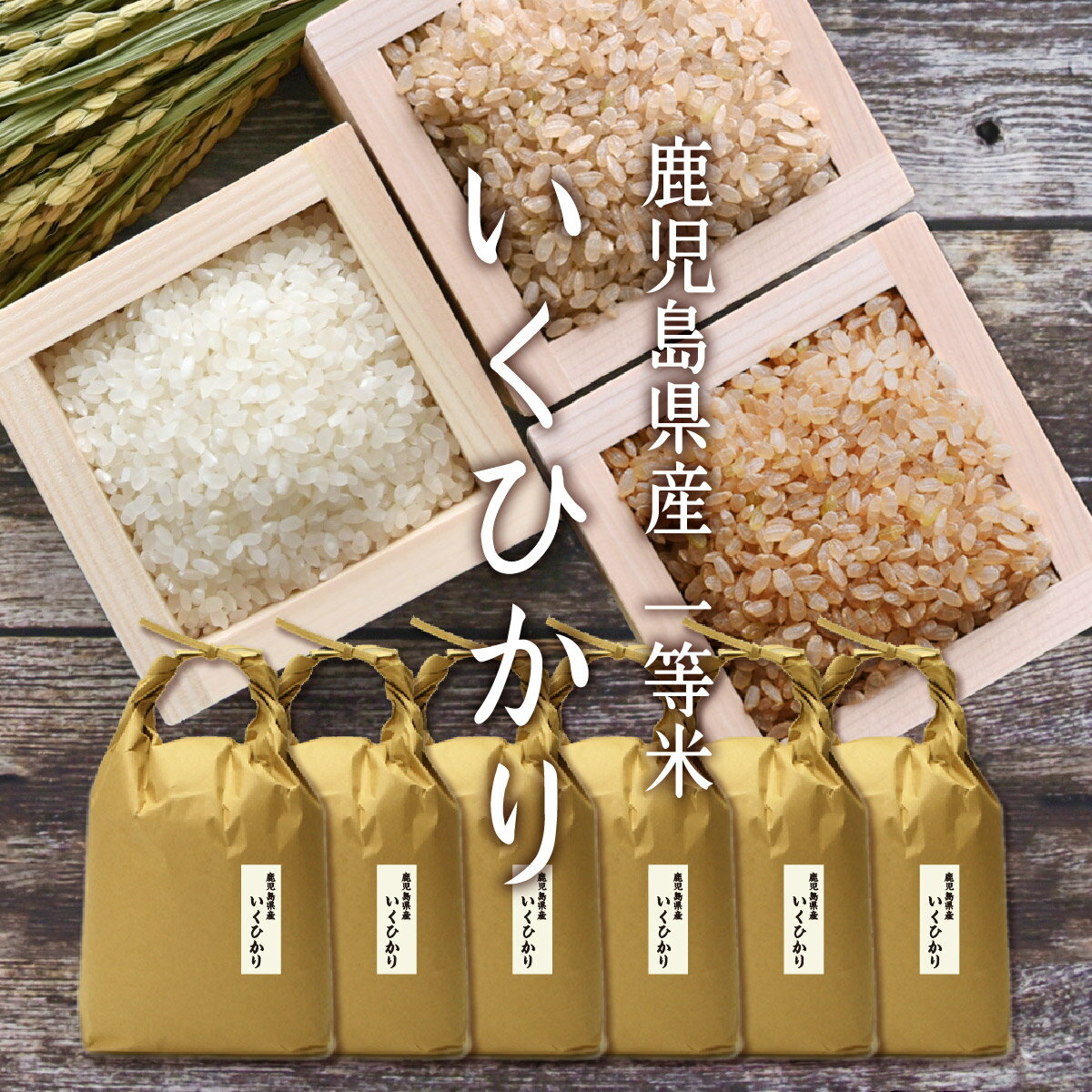 米 九州のお米 いくひかり 一等米[おにぎり、お弁当に最適！][コシヒカリの孫] 鹿児島県産 30kg[5kg×6][令和6年産] 玄米、胚芽米、分づき米、白米。分つき米は健康米。30キロ（5キロ毎に分づき承ります）出荷日精米 ギフト【送料無料（一部地域を除く）】