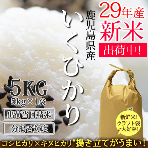 29年産 鹿児島県産 イクヒカリ 5kg（5kg×1）【定期購入も可】[米 5kg 送料無料] 玄米から白米まで分づき精米 九州 米/鹿児島県 [k]【 九州の 米 】