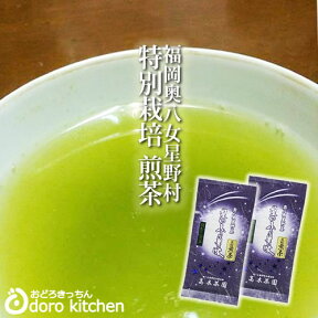 【新茶予約】2024年産 奥八女星野村 深蒸し高級煎茶 八女茶セット(100g×2袋) 高木茶園謹製 贈り物 減農薬 減化学肥料のお茶 [特別栽培茶] 星野村のお茶 旨みや甘味が豊富 来客用 花粉症対策 風邪予防にも 【送料無料（一部地域を除く）】 母の日 プレゼント ギフト