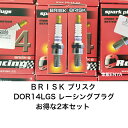 BRISK ブリスク DOR14LGS (2本セット)