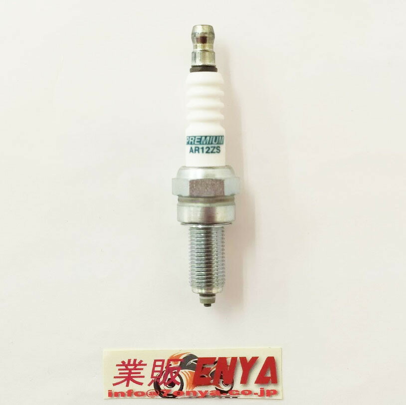 BRISK �֥ꥹ�� �ץ饰 AR12ZS