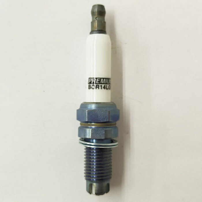 BRISK �֥ꥹ�� �ץ饰 BOR14LGS