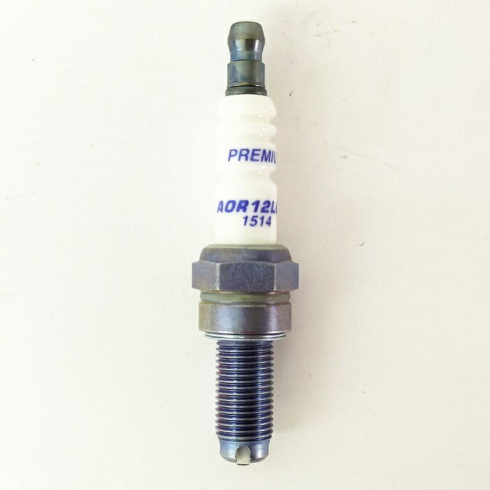 BRISK �֥ꥹ�� �ץ饰 AOR12LGS