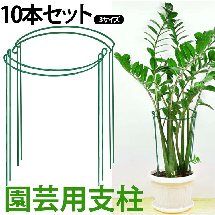 【10本セット】植物の茎や葉を支えてまっすぐ成長させるフラワーガードです。植物同士が絡み合ったり、曲がって成長してしまうのを防いでくれる、園芸マストアイテムです。鉄製の丈夫な2本の軸がしっかりと支えてくれるので、葉の量が多くても◎土に直接差し込むだけで簡単に設置できるので、女性や高齢者の方でも扱いやすくなっています。また、ジョイント不要で、複数本重ねて円を作ることもできる優れものです。 サイズ 20×35cm 25×40cm 30×50cm サイズについての説明 サイズ：20×35cm 25×40cm 30×50cm※画像の商品は光の照射や角度により、実物と色味が異なる場合がございます。また表示のサイズ感と実物は若干異なる場合もございますので、予めご了承ください。※サイズ感につきましては体型により異なりますので、予めご了承ください。※サイズ詳細等の測り方はスタッフ間で統一、徹底はしておりますが、実寸は商品によって若干の誤差がある場合がございますので、予めご了承ください。※通常のサイズ基準ではなく、身長と体重を参考にお選びください。 素材 PVC 鉄 色 10本セット 備考 ●サイズ詳細等の測り方はスタッフ間で統一、徹底はしておりますが、実寸は商品によって若干の誤差(1cm～3cm )がある場合がございますので、予めご了承ください。 ●製造ロットにより、細部形状の違いや、同色でも色味に多少の誤差が生じます。 ●パッケージは改良のため予告なく仕様を変更する場合があります。 ▼商品の色は、撮影時の光や、お客様のモニターの色具合などにより、実際の商品と異なる場合がございます。あらかじめ、ご了承ください。 ▼生地の特性上、やや匂いが強く感じられるものもございます。数日のご使用や陰干しなどで気になる匂いはほとんど感じられなくなります。 ▼同じ商品でも生産時期により形やサイズ、カラーに多少の誤差が生じる場合もございます。 ▼他店舗でも在庫を共有して販売をしている為、受注後欠品となる場合もございます。予め、ご了承お願い申し上げます。 ▼出荷前に全て検品を行っておりますが、万が一商品に不具合があった場合は、お問い合わせフォームまたはメールよりご連絡頂けます様お願い申し上げます。速やかに対応致しますのでご安心ください。
