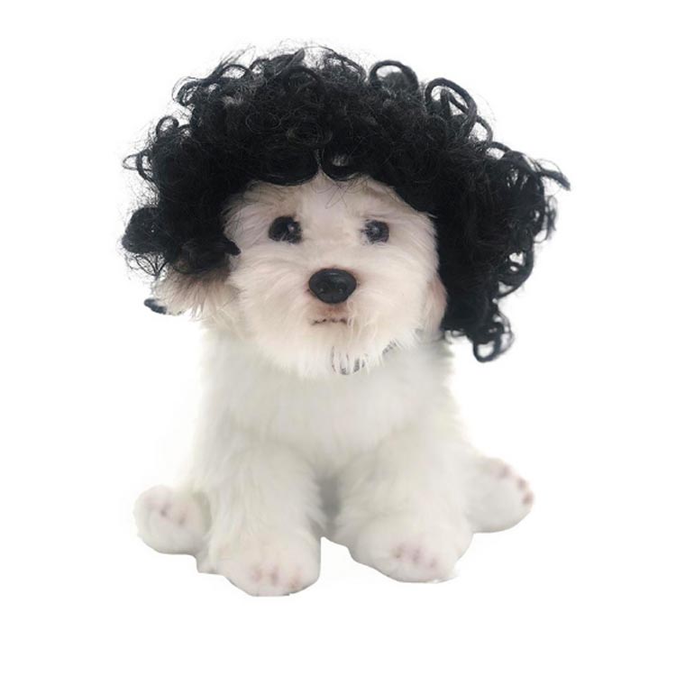 猫用 かっこいい かつら 犬 ウィッグ かわいい 面白い 犬 猫 犬 コスチューム 小型...