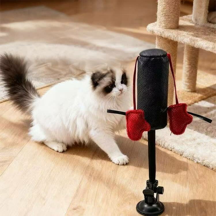 イーオーアロマのグローブ付き 猫じゃらし 猫用サンドバッグおもちゃ 子猫用ボクシング吸盤付き猫じゃらし 猫用ボクシング ミニパンチングバッグ ストレス発散 360°自由に揺れる インタラクティブ 強力吸盤付き 一人遊び 運動不足 猫用ボクシング 猫玩具 猫オモチャ｜アングル3