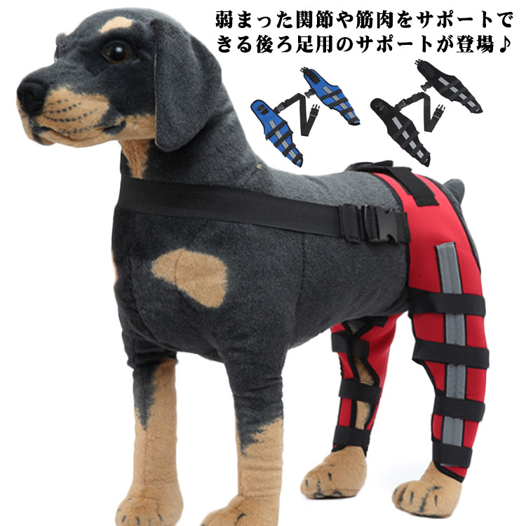 弱まった関節や筋肉をサポートできる後ろ足用のサポートが登場♪老犬に弱まった筋力の回復を補助することも可能です。さらに手術や関節の痛み、ケガなどによる痛みを軽減！傷舐め防止や冷え対策にも使えます♪伸縮性があり足にフィットするように各種ベルトが細部に付いているので、ズレにくく付け心地を考えた確かな仕様となっています。 サイズ XS S M L サイズについての説明 サイズ：単位cm/kgXS 太腿回り17-20 関節回り11-13 脚口回り7-10 足の高さ16 適応体重5-8S 太腿回り22-25 関節回り13-16 脚口回り10-14 足の高さ20 適応体重8.5-14.5M 太腿回り29-32 関節回り17-20 脚口回り13-16 足の高さ25 適応体重15-22.5L 太腿回り36-39 関節回り22-25 脚口回り16-19 足の高さ30 適応体重25-32.5 素材 SBR 色 左右セットHJ40 左右セットHJ41 左右セットHJ42 備考 ●サイズ詳細等の測り方はスタッフ間で統一、徹底はしておりますが、実寸は商品によって若干の誤差(1cm～3cm )がある場合がございますので、予めご了承ください。 ●製造ロットにより、細部形状の違いや、同色でも色味に多少の誤差が生じます。 ●パッケージは改良のため予告なく仕様を変更する場合があります。 ▼商品の色は、撮影時の光や、お客様のモニターの色具合などにより、実際の商品と異なる場合がございます。あらかじめ、ご了承ください。 ▼生地の特性上、やや匂いが強く感じられるものもございます。数日のご使用や陰干しなどで気になる匂いはほとんど感じられなくなります。 ▼同じ商品でも生産時期により形やサイズ、カラーに多少の誤差が生じる場合もございます。 ▼他店舗でも在庫を共有して販売をしている為、受注後欠品となる場合もございます。予め、ご了承お願い申し上げます。 ▼出荷前に全て検品を行っておりますが、万が一商品に不具合があった場合は、お問い合わせフォームまたはメールよりご連絡頂けます様お願い申し上げます。速やかに対応致しますのでご安心ください。
