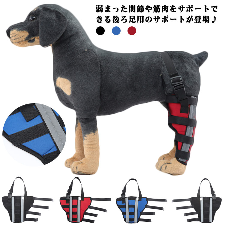 弱まった関節や筋肉をサポートできる後ろ足用のサポートが登場♪老犬に弱まった筋力の回復を補助することも可能です。さらに手術や関節の痛み、ケガなどによる痛みを軽減！傷舐め防止や冷え対策にも使えます♪伸縮性があり足にフィットするように各種ベルトが細部に付いているので、ズレにくく付け心地を考えた確かな仕様となっています。 サイズ XXS XS S M L サイズについての説明 サイズ：単位cm/kgXXS 太腿回り12-14 関節回り8-11 脚口回り4-6 足の高さ13 適応体重2-3XS 太腿回り17-20 関節回り11-13 脚口回り7-10 足の高さ16 適応体重3.5-6S 太腿回り22-25 関節回り13-16 脚口回り10-14 足の高さ20 適応体重6.5-12.5M 太腿回り29-32 関節回り17-20 脚口回り13-16 足の高さ25 適応体重13-20L 太腿回り36-39 関節回り22-25 脚口回り16-19 足の高さ30 適応体重20.5-30 素材 SBR 色 HJ34 HJ35 HJ36 HJ37 HJ38 HJ39 備考 ●サイズ詳細等の測り方はスタッフ間で統一、徹底はしておりますが、実寸は商品によって若干の誤差(1cm～3cm )がある場合がございますので、予めご了承ください。 ●製造ロットにより、細部形状の違いや、同色でも色味に多少の誤差が生じます。 ●パッケージは改良のため予告なく仕様を変更する場合があります。 ▼商品の色は、撮影時の光や、お客様のモニターの色具合などにより、実際の商品と異なる場合がございます。あらかじめ、ご了承ください。 ▼生地の特性上、やや匂いが強く感じられるものもございます。数日のご使用や陰干しなどで気になる匂いはほとんど感じられなくなります。 ▼同じ商品でも生産時期により形やサイズ、カラーに多少の誤差が生じる場合もございます。 ▼他店舗でも在庫を共有して販売をしている為、受注後欠品となる場合もございます。予め、ご了承お願い申し上げます。 ▼出荷前に全て検品を行っておりますが、万が一商品に不具合があった場合は、お問い合わせフォームまたはメールよりご連絡頂けます様お願い申し上げます。速やかに対応致しますのでご安心ください。