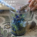 ボトルフラワー 手作りキット ドライフラワー プリザーブドフラワー ハンドメイド キット 全5種 ギフト ガラスドーム アレンジ お洒落 花 インテリア プレゼ...