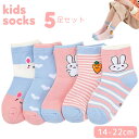 靴下 ソックス 子供 キッズ 男の子 女の子 5足セット 子ども 人参 兎 ハート くつした カラフル ボーダー柄 ツートンカラー クルー丈 ピンク カラフル シンプル こども ナチュラル キッズソックス 子供服韓国 くつした おしゃれ (SKA-02)