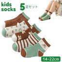 靴下 ソックス 子供 キッズ 男の子 女の子 5足セット 子ども おしゃれ 森の可愛いクマさん柄 ナチュラルカラ アースカラー おしゃれ 春 夏 秋 冬 ふんわ...