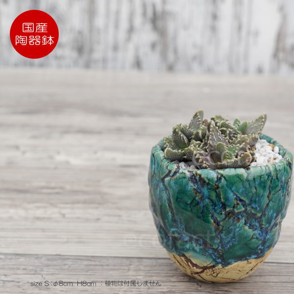 陶器鉢 植木鉢 ミニポット 底穴あり フォレスト（グリーン）白茶 S φ8cm 日本製 手作り おしゃれ かわいい プランター 園芸鉢 観葉植物 アガベ サボテン ビザールプランツ 塊根植物 コーデックス 多肉植物 ふるものぐりーん8889工房