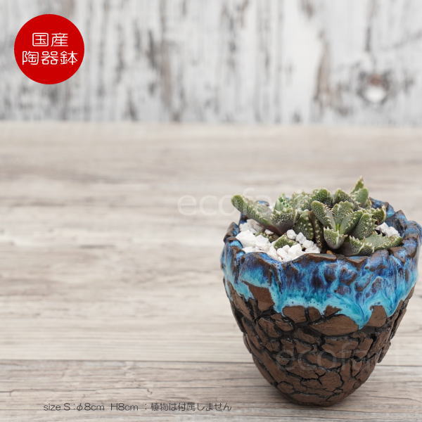 Rakuten - 植木鉢 おしゃれ 陶器鉢 2.5号相当 小型 室内 底穴あり 底穴あり スカイ（ライトブルー） 濃茶 S φ8cm 日本製 手作り ふるものぐりーん8889工房 プランター 園芸鉢 観葉植物 アガベ サボテン ビザールプランツ 塊根植物 コーデックス 多肉植物