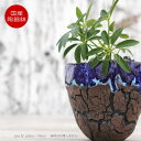 陶器鉢 植木鉢 ミニポット 底穴あり オーシャン（ブルー） 濃茶 M φ9cm 日本製 手作り おしゃれ かわいい プランター 園芸鉢 観葉植物 アガベ サボテン ビザールプランツ 塊根植物 コーデックス 多肉植物 ふるものぐりーん8889工房