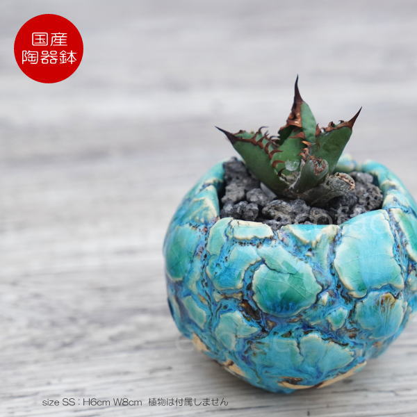 Rakuten - 植木鉢 おしゃれ 陶器鉢 2.5号相当 小型 室内 底穴あり 丸型 フォレスト（グリーン）白茶 SS H6cm 日本製 手作り ふるものぐりーん8889工房 プランター 園芸鉢 観葉植物 アガベ サボテン ビザールプランツ 塊根植物 コーデックス 多肉植物