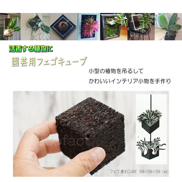 観葉植物 吊り下げ ハンギング 壁掛け フェゴ 養生 CUBE インテリア 園芸 雑貨 ヘゴ代用品 鉢 プランター 飾り 活着 園芸資材 吊り鉢 洋ラン バンダ エアプランツ デンドロビューム カトレア セッコク 2