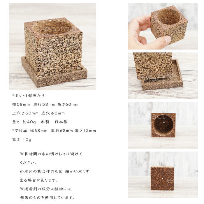 6個セット 多肉植物 サボテン 専用 ポット 鉢 かわいい ウッディポット キューブ60 おしゃれ プランター 木製 植木鉢 エケベリア ガーデニング