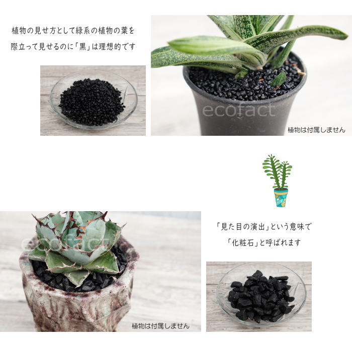 楽天市場 化粧石 観葉植物 飾り石 小粒 約3mm 5mm ブラック 黒 艶少なめ 化粧砂利 マルチング ストーン アッシュグレイ ミカ 多肉植物 アガベ サボテン ビザールプランツ 塊根植物 コーデックス 植木鉢 ポット おしゃれ ガーデニング 大人の趣味空間