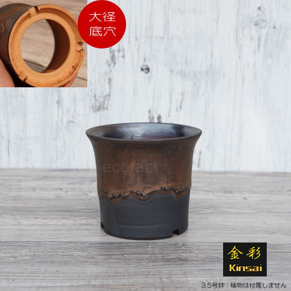 陶器鉢 植木鉢 3.5号 ラッパ型 金彩 ゴールド/ブラック