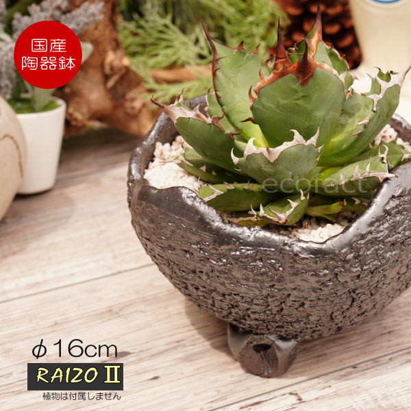 陶器鉢 植木鉢 RAIZO2 φ16cm ガンメタリック 黒 脚付き　おしゃれ プランター 園芸鉢 かみ山陶器 信楽焼 アガベ サボテン ビザールプランツ 塊根植物 コーデックス 多肉植物 ポット