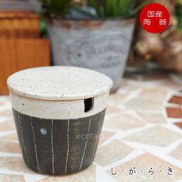 おしゃれ シュガーポット 砂糖入れ 陶器 ストライプ 信楽焼 焼物 丸十製陶 日本製 キッチン 小物 食器 古民家 カフェ 茶器 和風