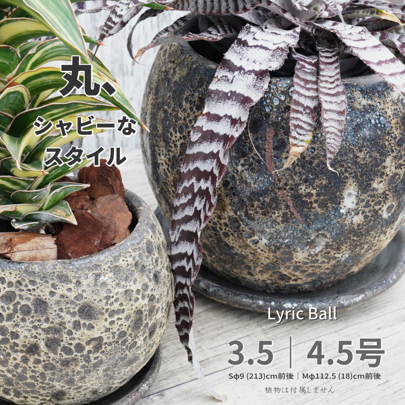 Rakuten - 【マラソン期間中 ポイント10倍】植木鉢 おしゃれ 陶器鉢 3.5｜4.5号相当 丸型 室内 受け皿あり 底穴あり シェビー リリックボール ラスト（濃淡有り） モダン プランター 熱帯植物 アロカシア フィロデンドロン アガベ
