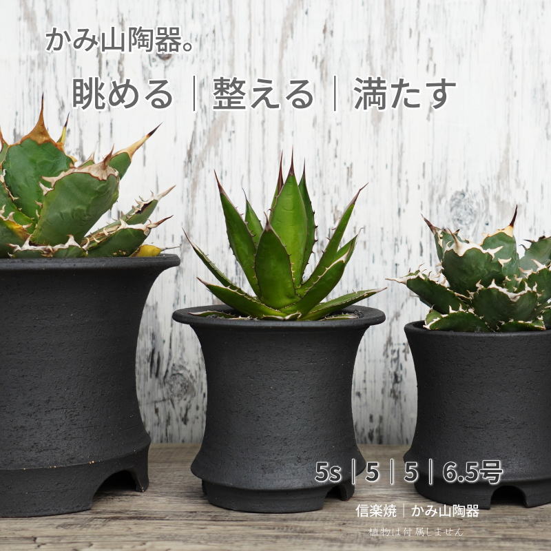 Glass Bowls - 【マラソン期間限定 ポイント10倍]】植木鉢 おしゃれ 陶器鉢 5s｜5｜5｜6.5号 黒高足 4サイズ 室内 底穴あり ブラック おしゃれ プランター 園芸鉢 信楽焼 かみ山陶器 観葉植物 アガベ サボテン ビザールプランツ 塊根植物 コーデックス 多肉植物 ポット