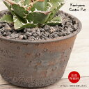 陶器鉢 植木鉢 5号 クレーターポット φ15cm 中深 ゴールド/ブラック おしゃれ プランター 園芸鉢 信楽焼 かみ山陶器 観葉植物 アガベ サボテン ビザールプランツ 塊根植物 コーデックス 多肉植物 ポット