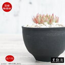 陶器鉢 植木鉢 ミニポット 底穴あり 穂波 黒 マットブラック φ10cm おしゃれ かわいい プランター 園芸鉢 観葉植物 アガベ サボテン ビザールプランツ 塊根植物 コーデックス 多肉植物