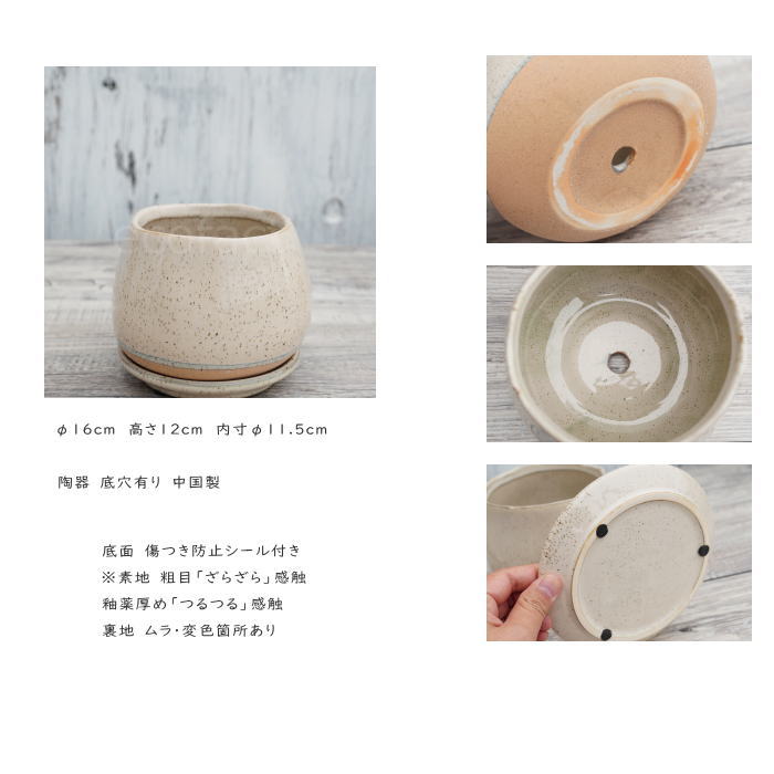 ƫ��ȭ ����ȭ ��ȭ �ݥ꡼�� �١�����S ��16cm ������� �ץ�󥿡� ���ȭ ���տ�ʪ Ǯ�ӿ�ʪ ¿����ʪ