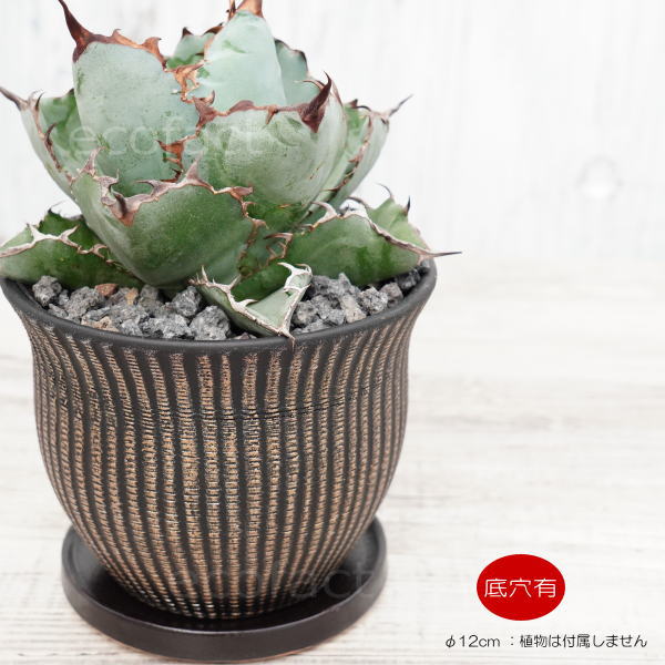 陶器鉢 植木鉢 ミニポット 底穴あり マングリッドM 黒金 マットブラック φ12cm 11cm おしゃれ かわいい プランター 園芸鉢 観葉植物 アガベ サボテン ビザールプランツ 塊根植物 コーデックス …