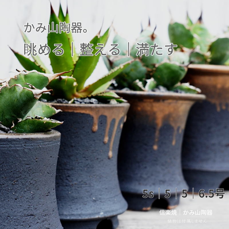 Glass Bowls - 植木鉢 おしゃれ 陶器鉢 5s｜5｜5｜6.5号 金彩高足 4サイズ 室内 底穴あり ブラック｜ゴールド おしゃれ プランター 園芸鉢 信楽焼 かみ山陶器 観葉植物 アガベ サボテン ビザールプランツ 塊根植物 コーデックス 多肉植物 ポット