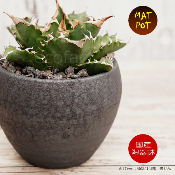 陶器鉢 植木鉢 小鉢 底穴あり MATPOT マットポットS