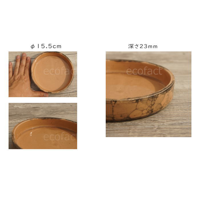 ȭ�� ������ ���� �������� ��15.5cm ����ߥå� �֥饦�� �ɿ� ƫ��ȭ ����ȭ �ߥ˥ݥå� ���ȭ ���տ�ʪ